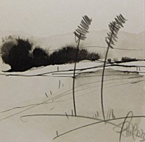 DSCN3902.jpg