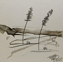DSCN3909.jpg